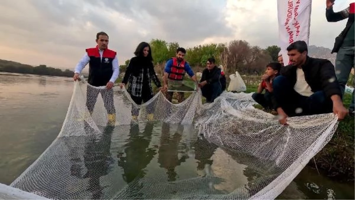 Dünyada en çok aranan leopar sazanı Dicle Nehri'nde bulundu - GÜNDEM - Ulusal ve Yerel Medyanın Gücü