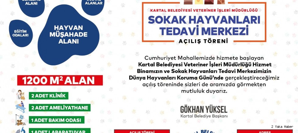 Kartal Belediyesi Sokak Hayvanları Tedavi Merkezi Açılıyor