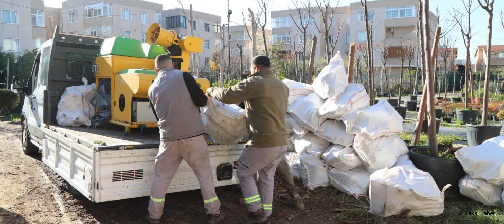 Kartal’da Budanan Ağaç Dalları İhtiyaç Sahiplerine Yakacak Oluyor